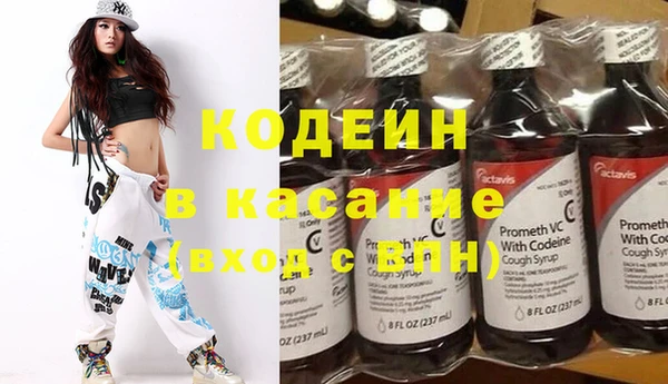соль ск Вяземский