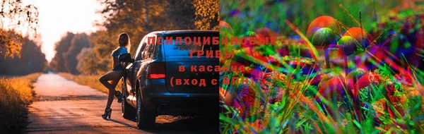 соль ск Вяземский