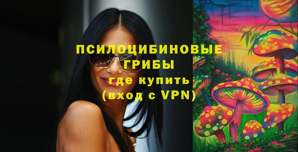 соль ск Вяземский